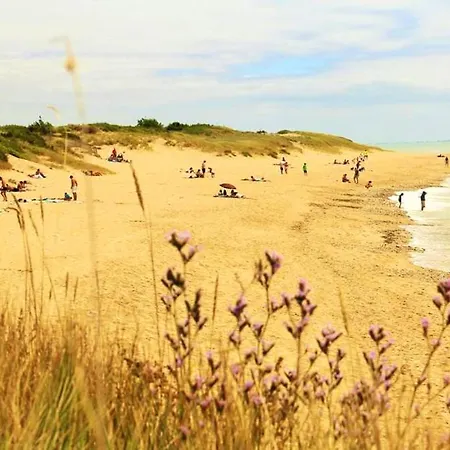 Maison D'une Chambre A Marie De Re A 600 M De La Plage Avec Terrasse Amenagee Et Wifi Hébergement de vacances